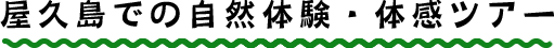 屋久島での自然体験・体感ツアー